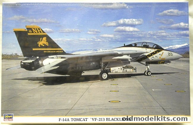 Hasegawa 1/48 F-14D Tomcat VF-213 Black Lions, 09814 plastic model kit